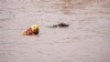 Recovery of South Africa Flood Victims Hampered by Rains 