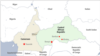 Cameroon, Gabon Demarcate Border to Reduce Poaching in Congo Basin
