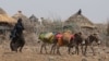 Disaster Looms for Millions in Horn of Africa as Rains Fail 