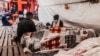 More Than 800 Migrants Rescued at Sea Head to Italy 