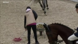 Horse Manure Transformed to Heat and Light