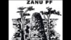 2013 Primary Elections Scaring Zimbabwean Politicians
