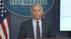 Dr. Anthony Fauci 