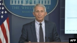 Dr. Anthony Fauci