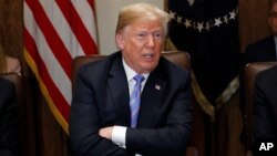 FILE - President Donald Trump speaks during a meeting at the White House in Washington, July 18, 2018. 