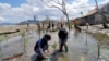 Warga desa Lompio, Kecamatan Sirenja, Donggala Sulawesi Tengah melakukan penanaman bibit bakau di pesisir pantai, Minggu (23/8). Pohon bakau diharapkan dapat memecah gelombang ombak saat desa itu mengalami banjir rob. (Foto: David Lamanyuki/Penabulu Palu)