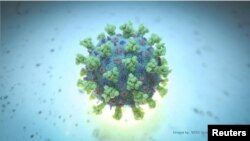 Coronavirus