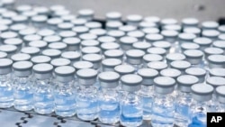 FILE - This August 2022 photo provided by Pfizer shows vials of the company's updated COVID-19 vaccine during production in Kalamazoo, Mich. 