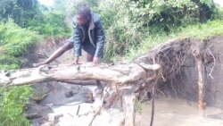 Kunaya kweMvura Yakawanda Kwoparadza Dzimba neMinda kuGokwe Chitekete