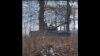 16x9 Image