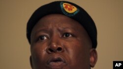 Julius Malema 