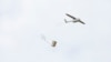 Shipping Giant Sponsors Medical Drone Delivery in Rwanda