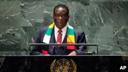 UN General Assembly