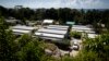 MSF Urges Australia to Evacuate Refugees from Offshore Detention Centers