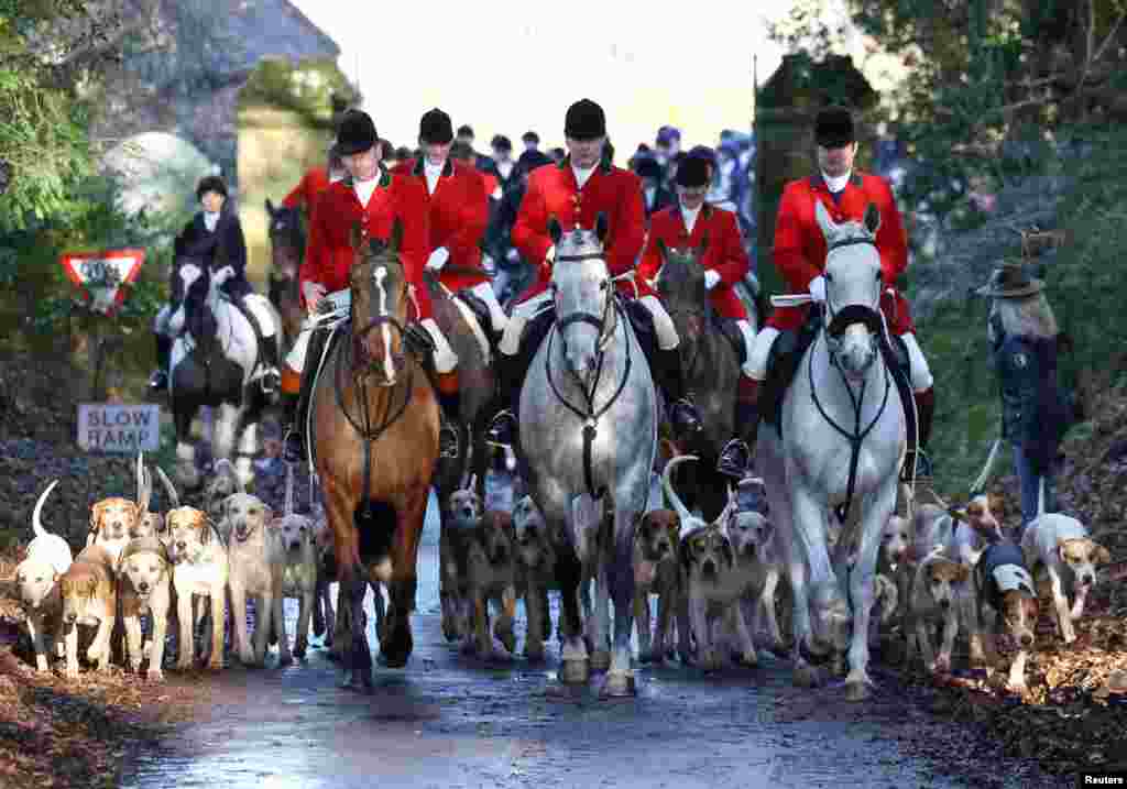 Members of the Old Surrey Burstow and West Kent Hunt ride with hounds during the annual Boxing Day hunt in Chiddingstone, Britain.