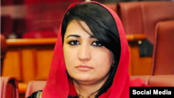 مرسل نبی‌زاده