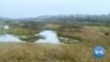 Rwanda Converts Degraded Wetland Into Urban Ecotourism Park