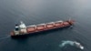 Ukrainian Grain Shipment Clears Inspection in Turkey  