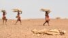 US: Africa's Food Insecurity to Persist Because of Climate Change, Conflicts 