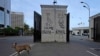 A stray dog is seen on the road leading to president's official residence in Colombo, Sri Lanka, July 15, 2022. Protesters retreated from government buildings Thursday in Sri Lanka, restoring a tenuous calm to the economically crippled country, and the em