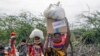 Russia's Free Grain Falls Short of Significantly Fighting Hunger in Africa
