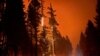 The Cedar Creek wildfire rages out of control in Oregon, Sept. 13, 2022, as residents face evacuation orders and worsening air quality as multiple blazes scorch the U.S. West. 