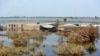 Pakistan's Catastrophic Rains Threaten National Food Security  