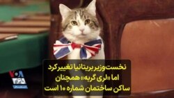 نخست‌وزیر بریتانیا تغییر کرد اما «لری گربه» همچنان ساکن ساختمان شماره ۱۰ است