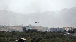 美眾院外委會主席警告要認定國務卿布林肯藐視國會