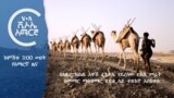 ከምሽቱ 3:00 የአማርኛ ዜና
