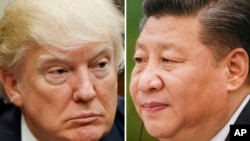美國川普總統(左)3月28日於華盛頓﹔中國國家主席習近平(右)2月22日於北京合成資料圖。