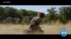 How Harriet Advances the Slavery Narrative on the Large Screen