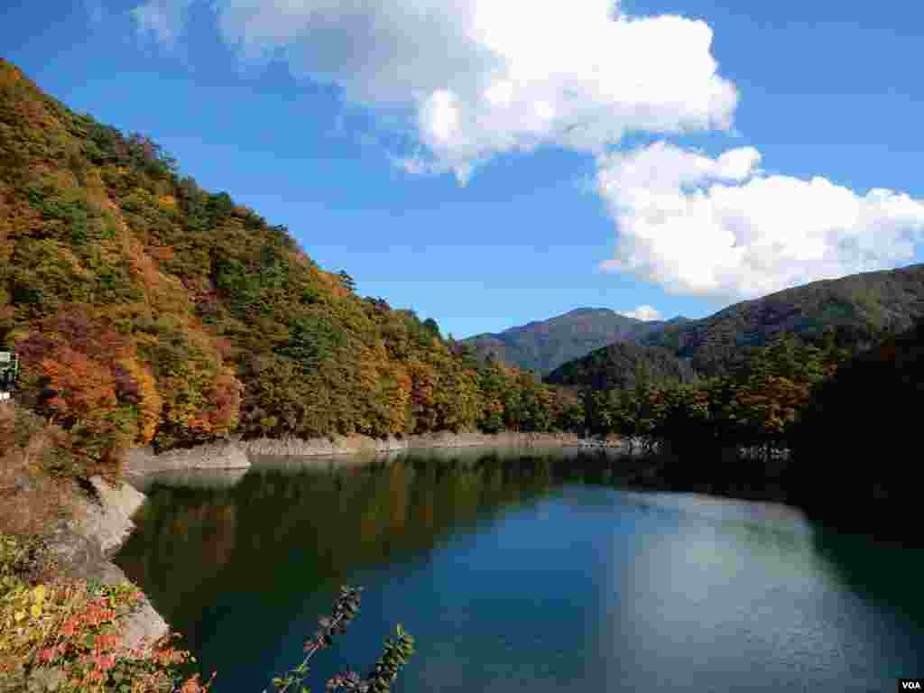 東京郊區奧多摩秋色。(美國之音湯惠芸攝)