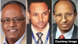 ዶ/ር ዮናስ ብሩ፣ አቶ ዮሃንስ አብረሃ እና ዶ/ር በርሄ ሃብተ-ጊዮርጊስ 