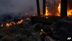 Seorang pemadam kebakaran membawa selang air menuju salah satu sumber api di dekat wilayah South Lake Tahoe Tahoe, California, Pada 2 September 2021.(Foto: Associated Press)