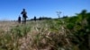 Afghan Migrant Shot Dead in Serbia