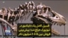 16x9 Image