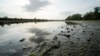 The worst drought Italy has faced in 70 years is thirsting the rice paddies of the river Po valley, jeopardizing the precious harvest of the Italian premium rice used for the tasty risotto, June 27, 2022.