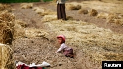 တောင်ကြီးမြို့အနီးစိုက်ခင်းတခု (ယခင်မှတ်တမ်းဓာတ်ပုံ)