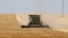 Ukraine Appeals for African Support on War With Russia and Food Crisis 