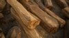 Gambia Bans Exports of Endangered Rosewood; Enforcement Woes Remain