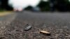 En esta foto del 16 de octubre de 2019, casquillos de bala gastados ensucian el sitio donde un convoy de policías del estado de Michoacán fue emboscado y asesinado por sicarios del cártel de Jalisco, en El Aguaje, México.