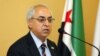 The new president of the Syrian National Council, Abdelbasset Sieda, speaks during a news conference in Istanbul, Turkey, June 10, 2012.
