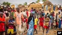 FILE - Refugees are seen gathered at Minawao camp in northern Cameroon, April 18, 2016. The U.N. refugee agency has called on Cameroon to stop forcibly repatriating Nigerian refugees on its territory. 