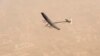 Solar Plane Completes First Leg of World Tour