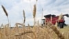 Nemački farmer u Ukrajini bori se da održi posao i pomaže vojsci 