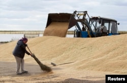 FILE - An employee sweeps wheat grain at the Aktyk farm outside Astana, Kazakhstan, Sept. 10, 2013.