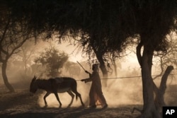 Seorang anak lelaki menghela keledainya untuk menarik air ke permukaan dari sebuah sumur di luar desa Louri di kawasan Sahel, Chad.