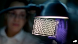FILE - А microbiologist reads a panel to check on a bacterium's resistance to an antibiotic in а lab at the U.S. Centers for Disease Control and Prevention, Nov. 25, 2013, in Atlanta, Georgia.