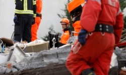 A rescue dog is seen on a collapsed building in Durres, after an earthquake shook Albania, Nov. 29, 2019.